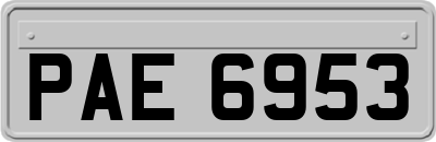 PAE6953