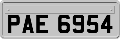 PAE6954