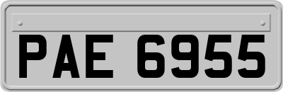 PAE6955