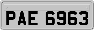 PAE6963