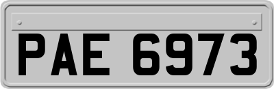 PAE6973