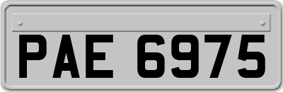 PAE6975