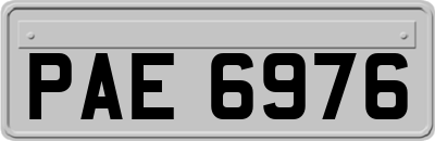 PAE6976