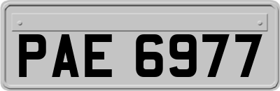 PAE6977