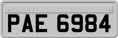 PAE6984