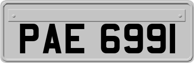 PAE6991