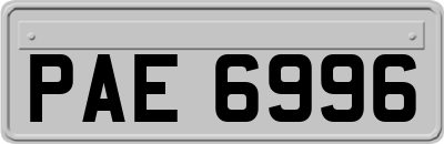 PAE6996