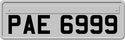 PAE6999