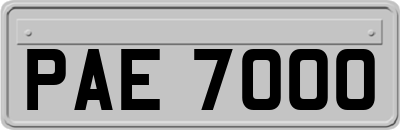 PAE7000