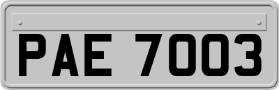 PAE7003