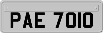 PAE7010