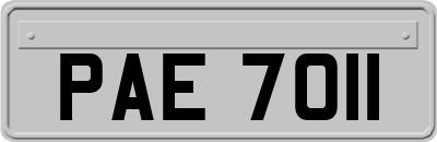 PAE7011