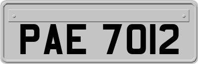 PAE7012