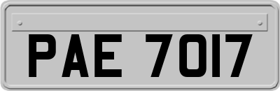 PAE7017
