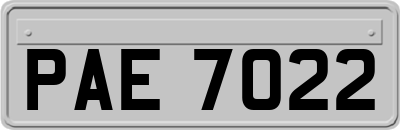PAE7022