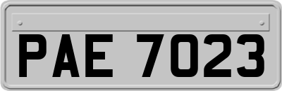 PAE7023