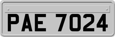 PAE7024