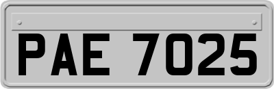 PAE7025