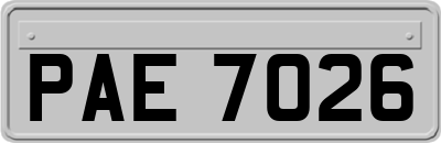 PAE7026