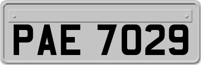 PAE7029