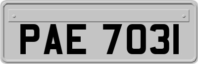 PAE7031