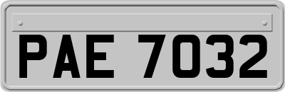 PAE7032