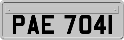 PAE7041