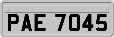 PAE7045
