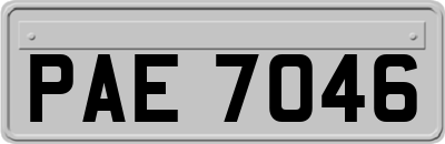 PAE7046