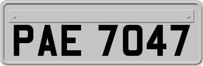 PAE7047