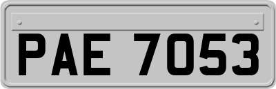 PAE7053