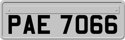 PAE7066