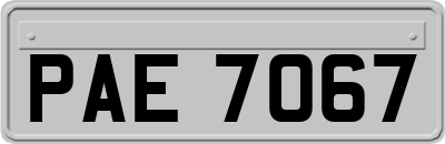 PAE7067