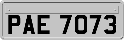 PAE7073