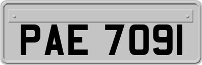 PAE7091