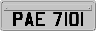 PAE7101