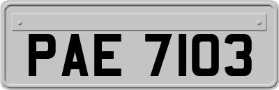PAE7103