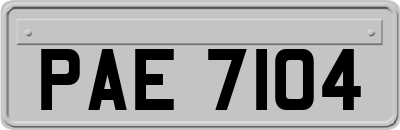 PAE7104