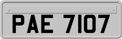 PAE7107