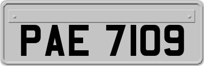 PAE7109