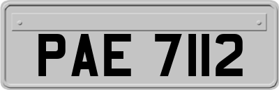 PAE7112