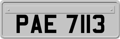 PAE7113