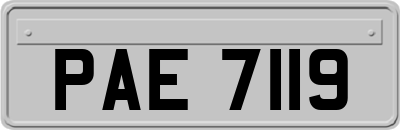 PAE7119