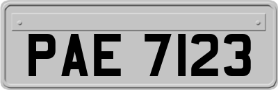 PAE7123