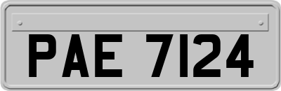 PAE7124