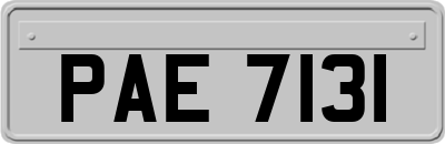 PAE7131