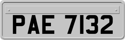 PAE7132