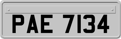 PAE7134