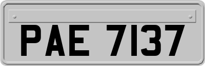 PAE7137