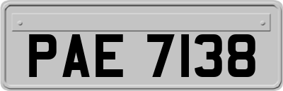 PAE7138
